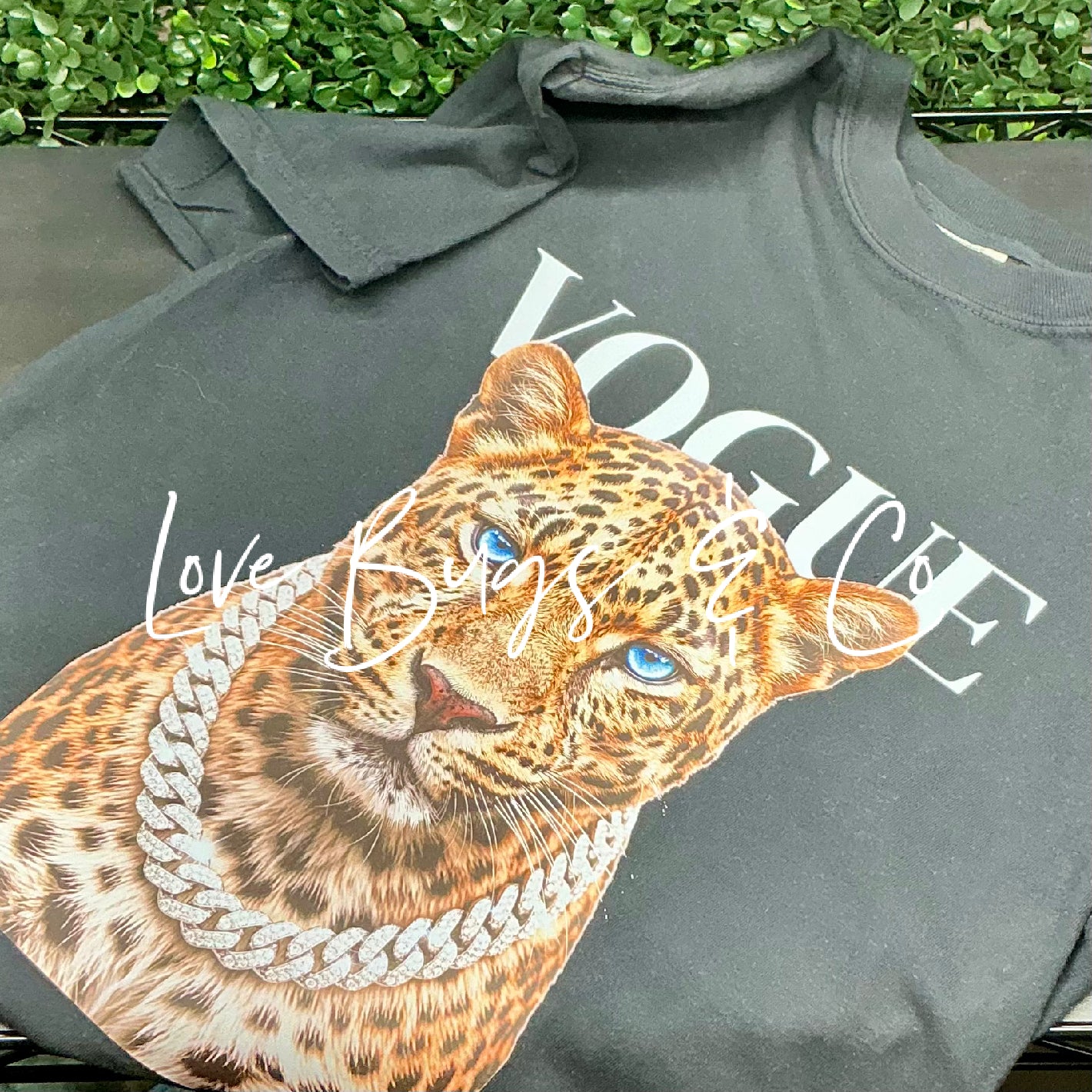 Fancy Cheetah
