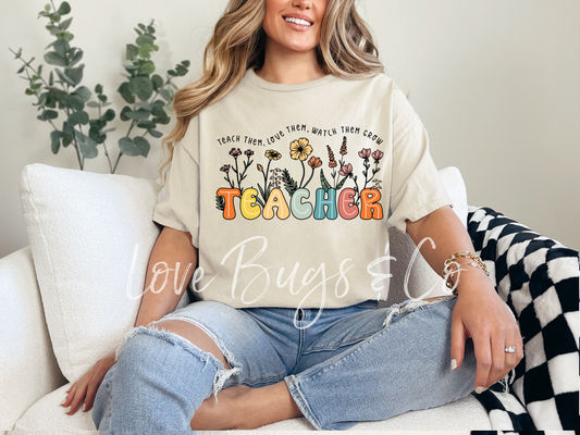 Teacher