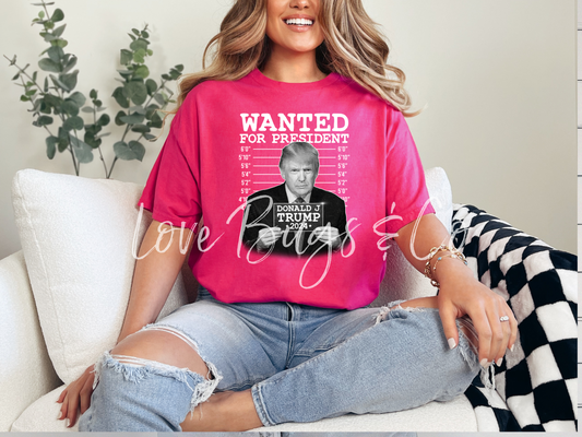 Wanted For President
